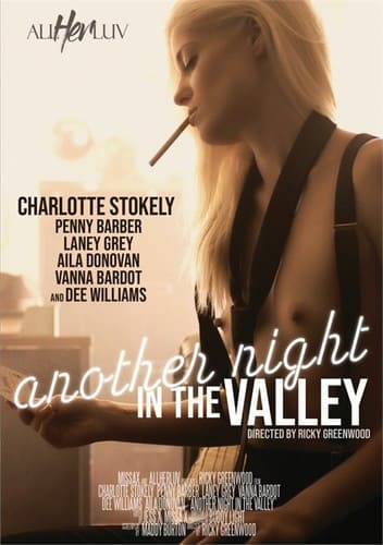 Ver Another Night In The Valley Gratis Online