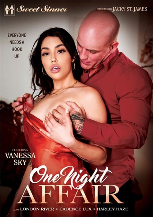 Ver One Night Affair Gratis Online