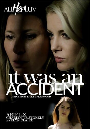 Ver It Was An Accident Gratis Online