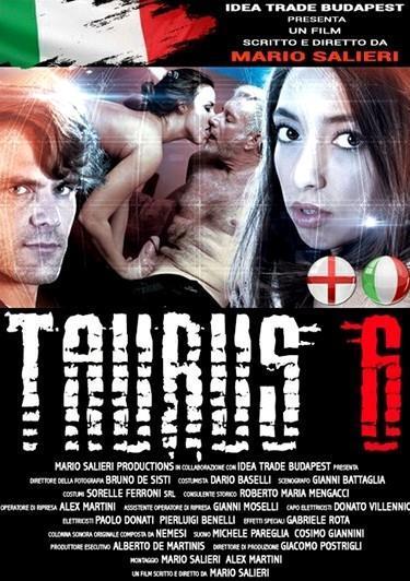 Taurus 6
