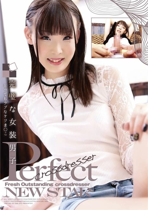 Ver The Perfect Crossdressing Boy ~ Perfect Gratis Online