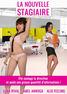La Nouvelle Stagiaire