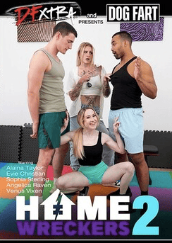 Home Wreckers 2
