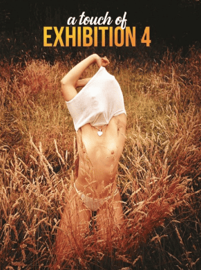 A Touch of Exhibition 4