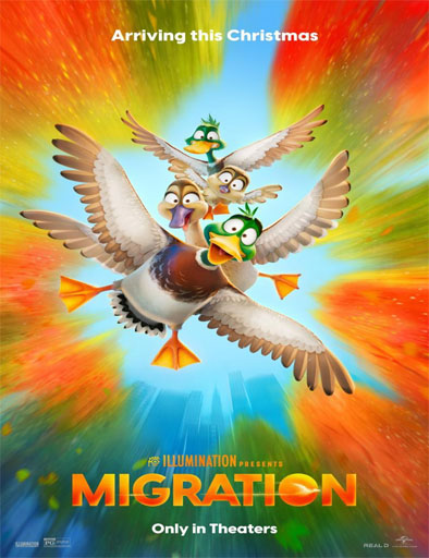Migration / ¡Patos!