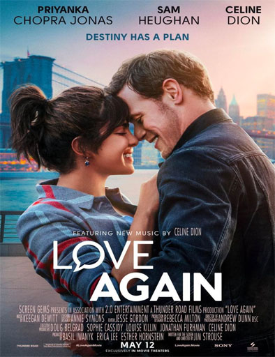 Ver Love Again / Amor a primer mensaje Gratis Online