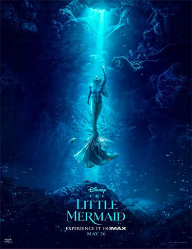 The Little Mermaid / La Sirenita